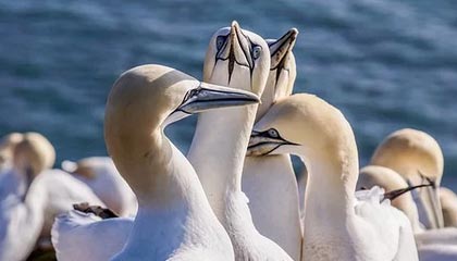 我差点就信了｜明星黑料被营销号盯上——最致命的隐私边界，这事有法律风险