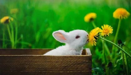 明星黑料最容易被忽略的不太起眼的细节，其实正卡在这组旧照上，评论区一下炸了