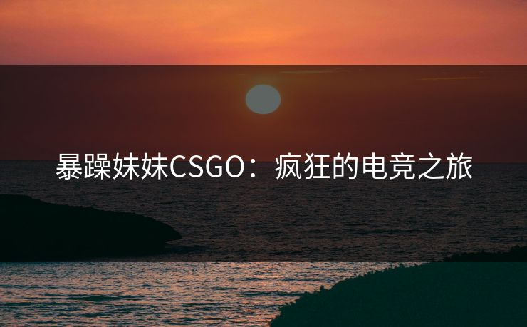 暴躁妹妹CSGO:疯狂的电竞之旅 暴躁妹妹CSGO:疯狂的电竞之旅