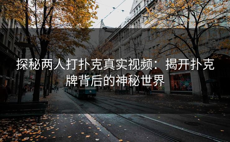 探秘两人打扑克真实视频：揭开扑克牌背后的神秘世界