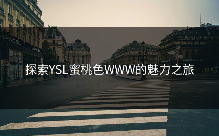 探索YSL蜜桃色WWW的魅力之旅