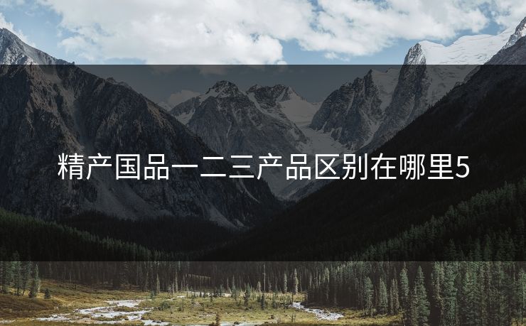精产国品一二三产品区别在哪里5