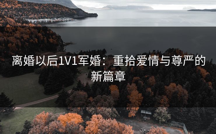 离婚以后1V1军婚：重拾爱情与尊严的新篇章